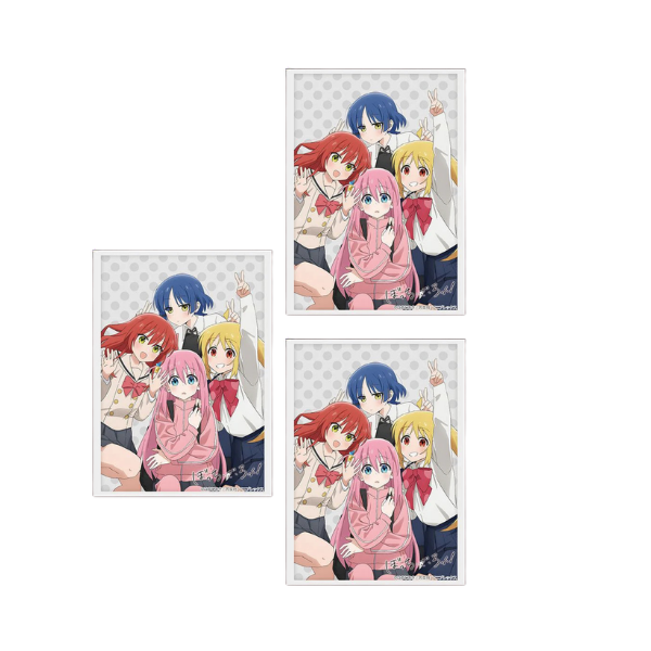 Bocci the rock band card sleeves