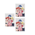 Bocci the rock band card sleeves