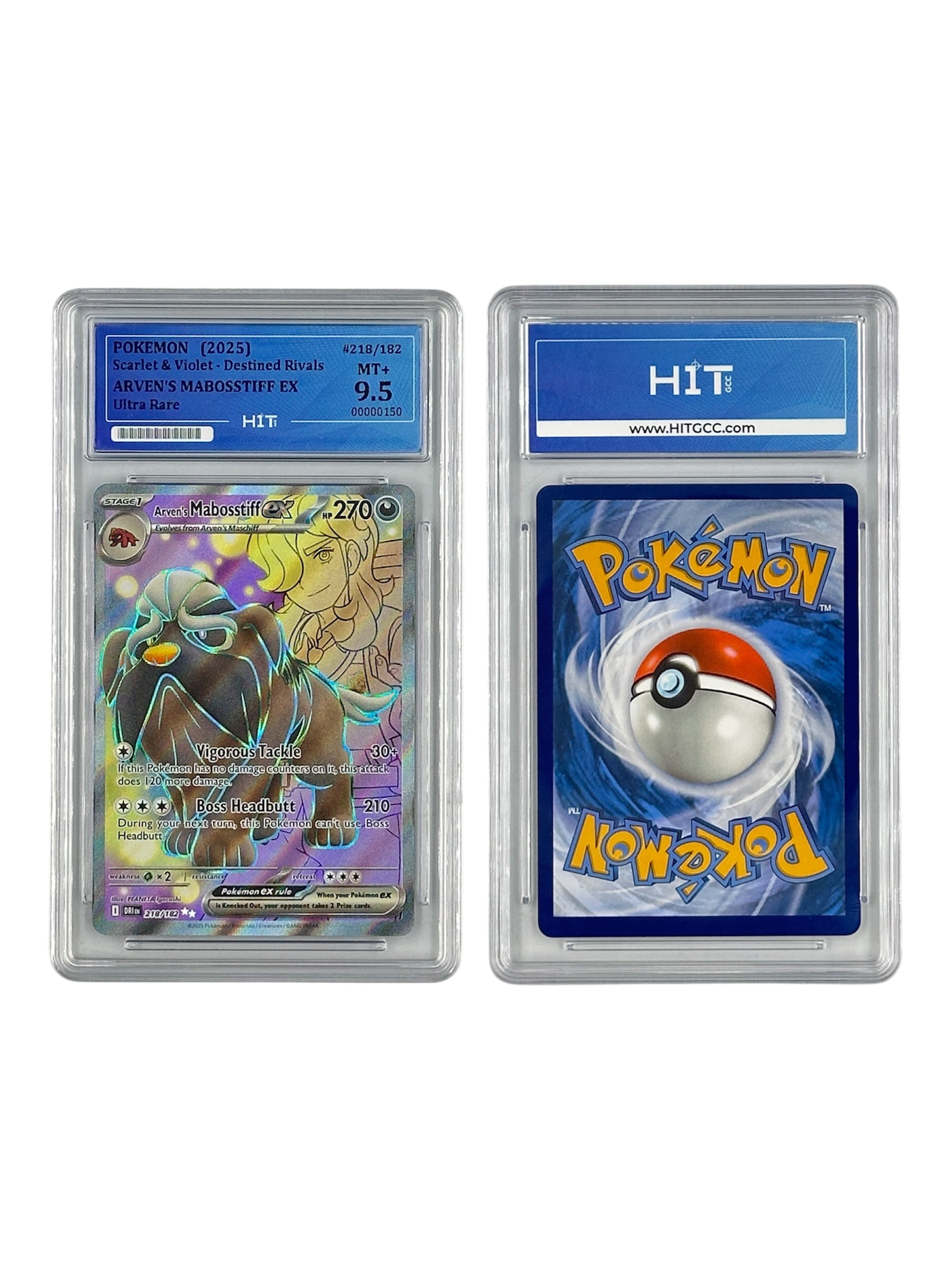 Pokémon Arven's Mabosstiff EX (Scarlet & Violet - Destined Rivals) 00000150