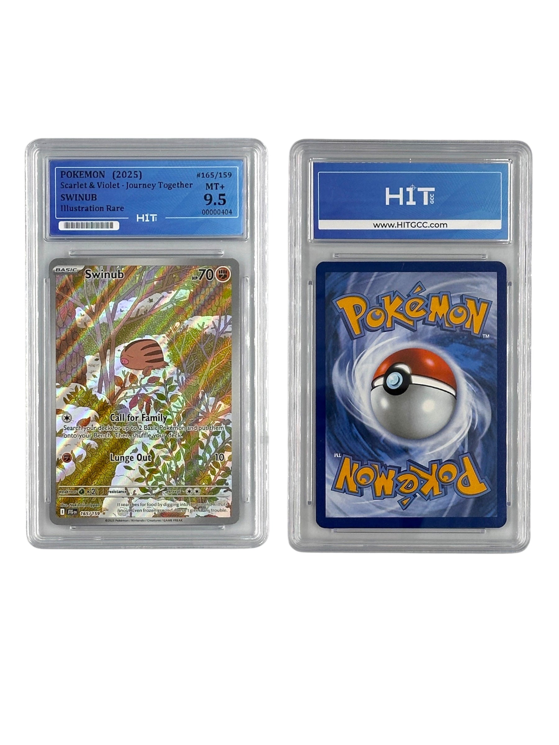 Pokémon Swinub Illustration Rare (Scarlet & Violet - Journey Together) 00000404