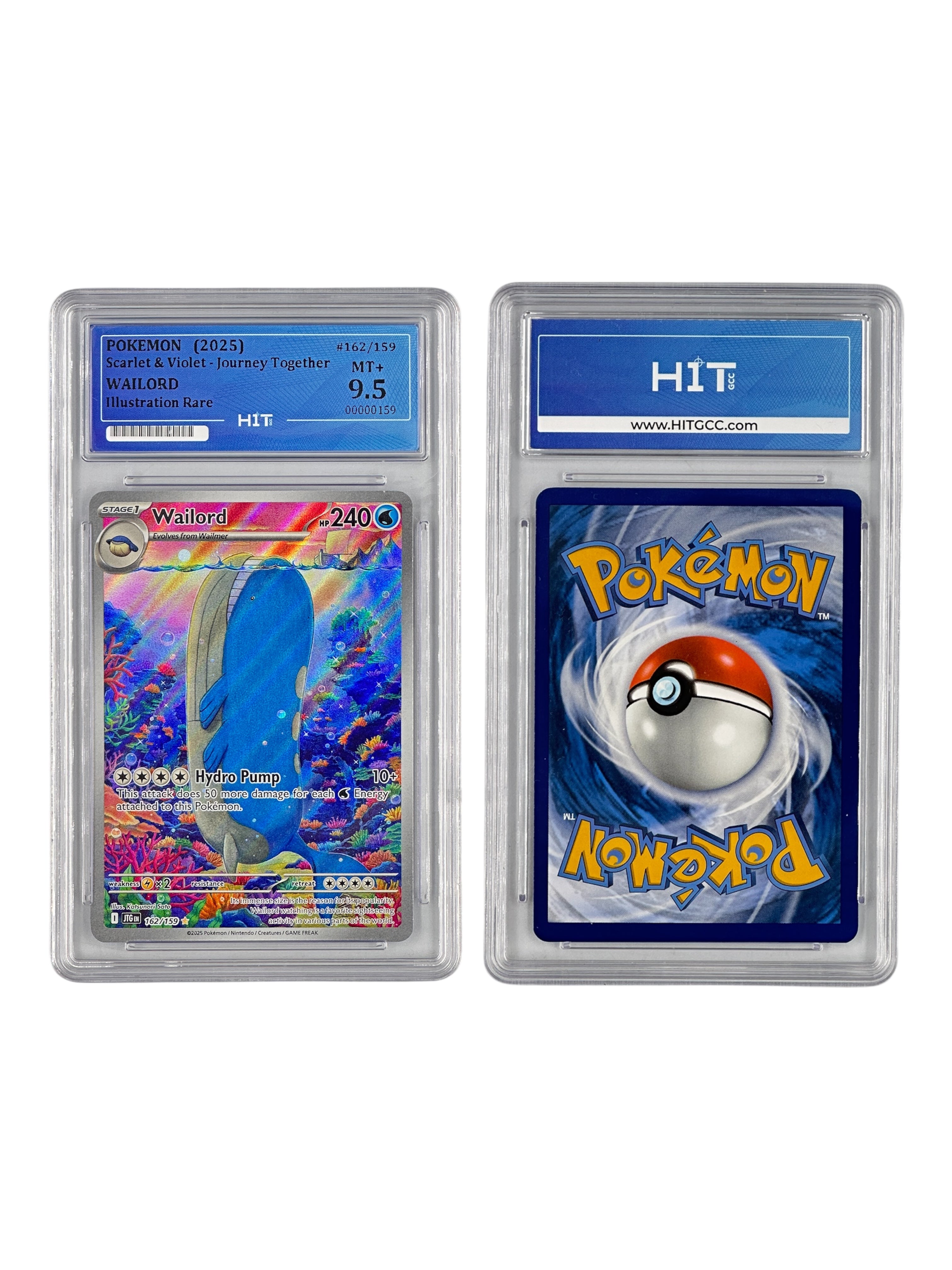 Pokémon Wailord Illustration Rare (Scarlet & Violet - Journey Together) 00000159