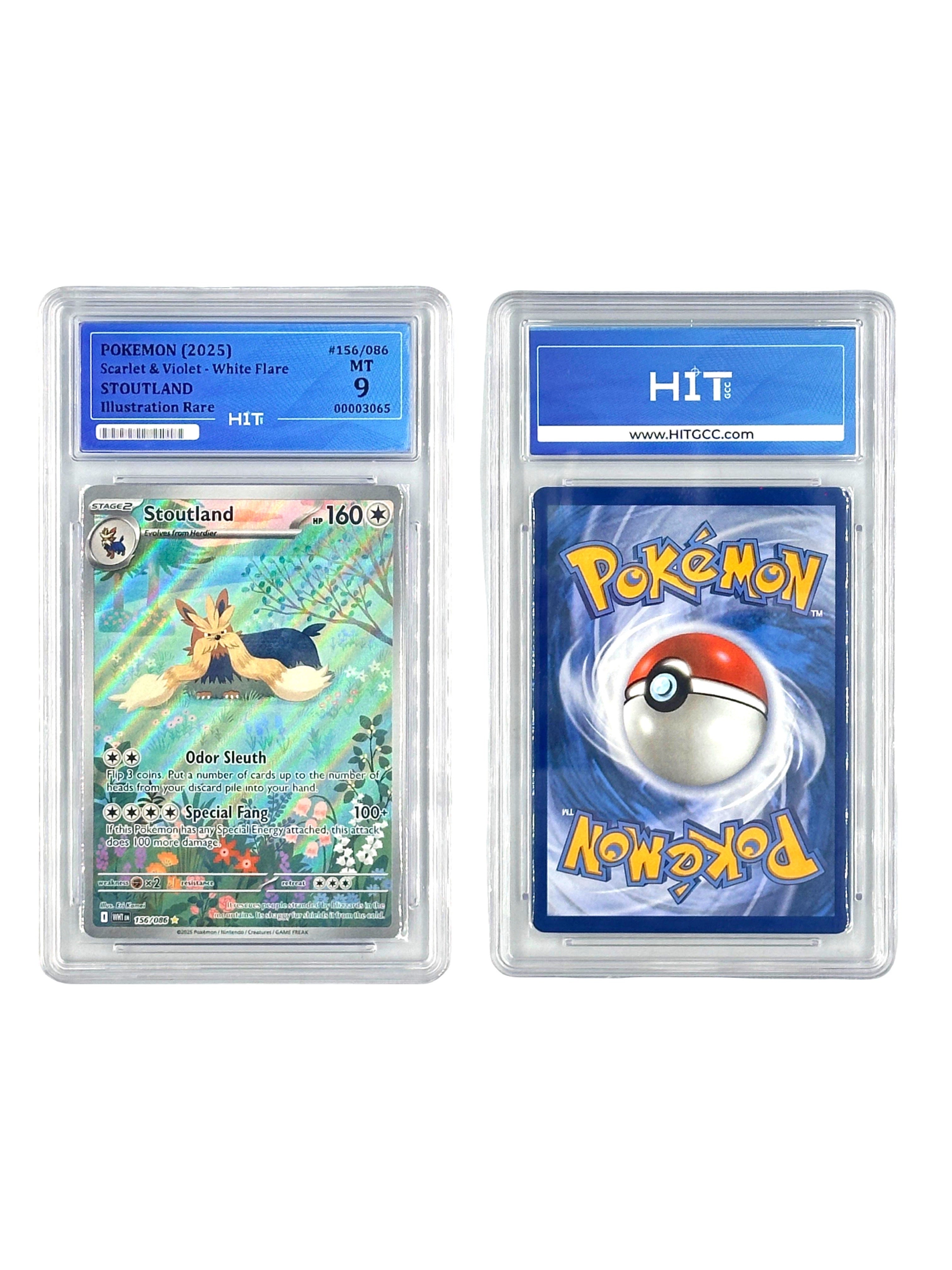 Pokémon Stoutland Illustration Rare (Scarlet & Violet - White Flare) 00003065