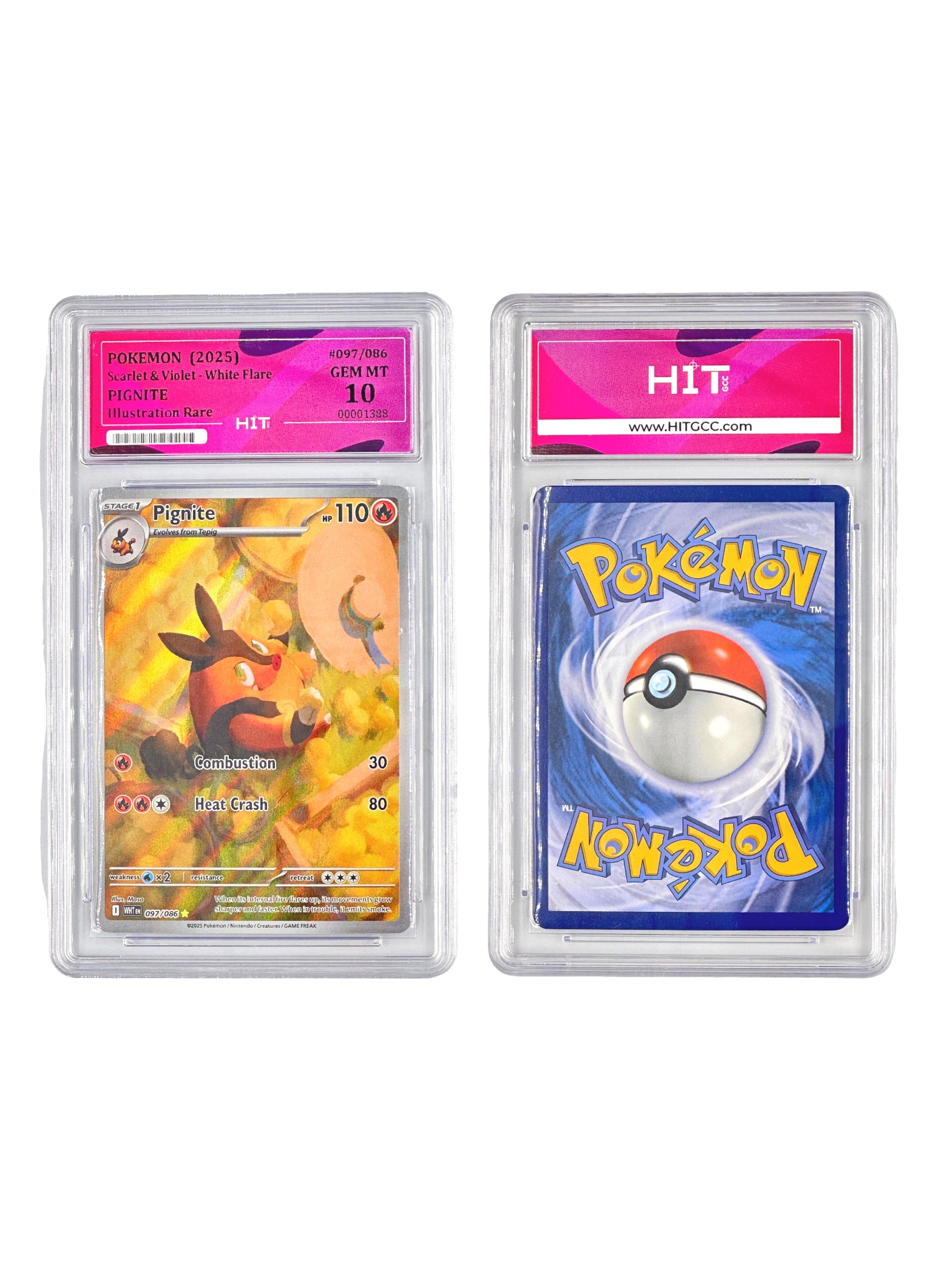 Pokémon Pignite Illustration Rare (Scarlet & Violet - White Flare) 00001388