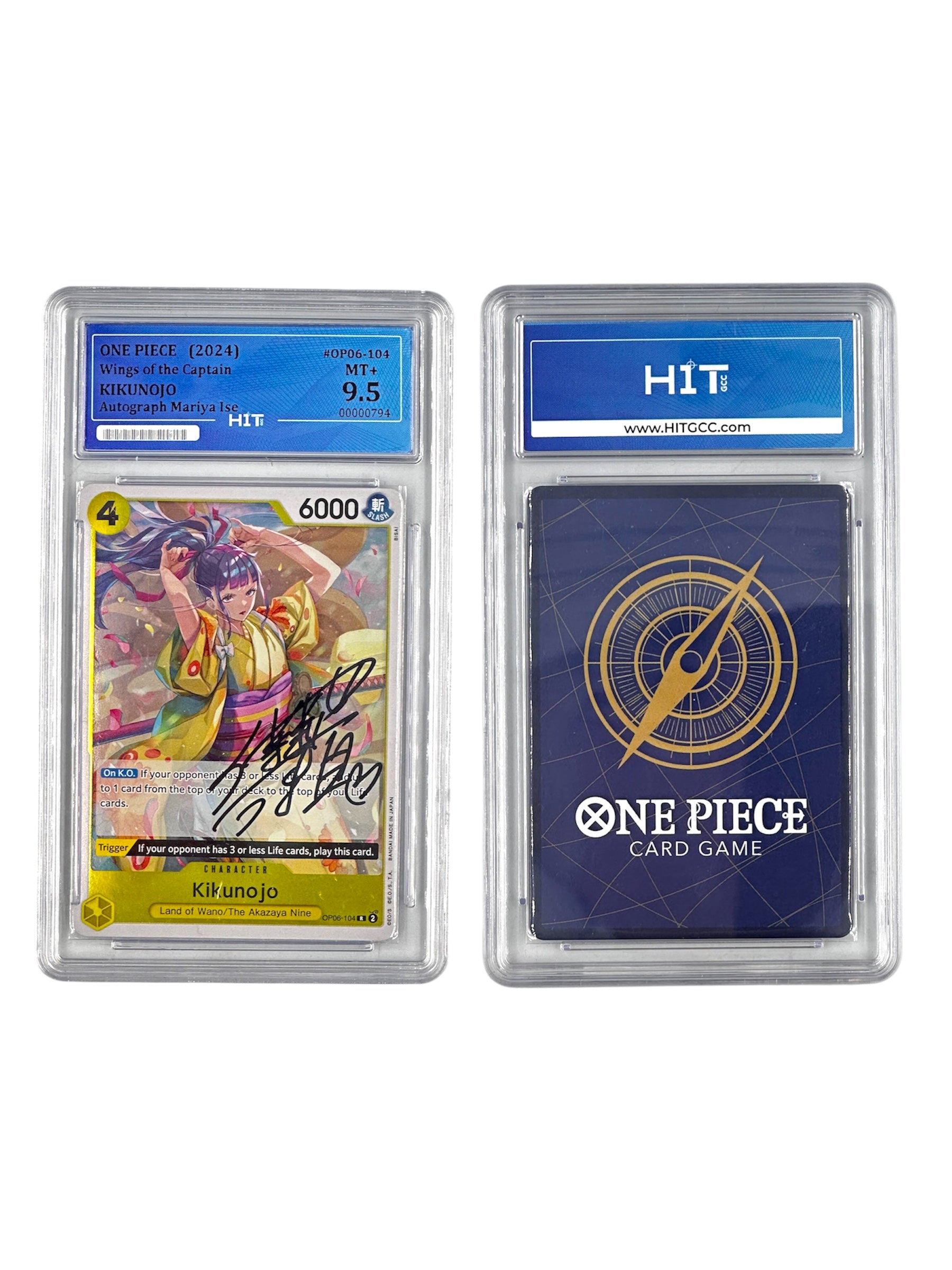 One Piece Kikunojo (Wings of the Captain) 00000794