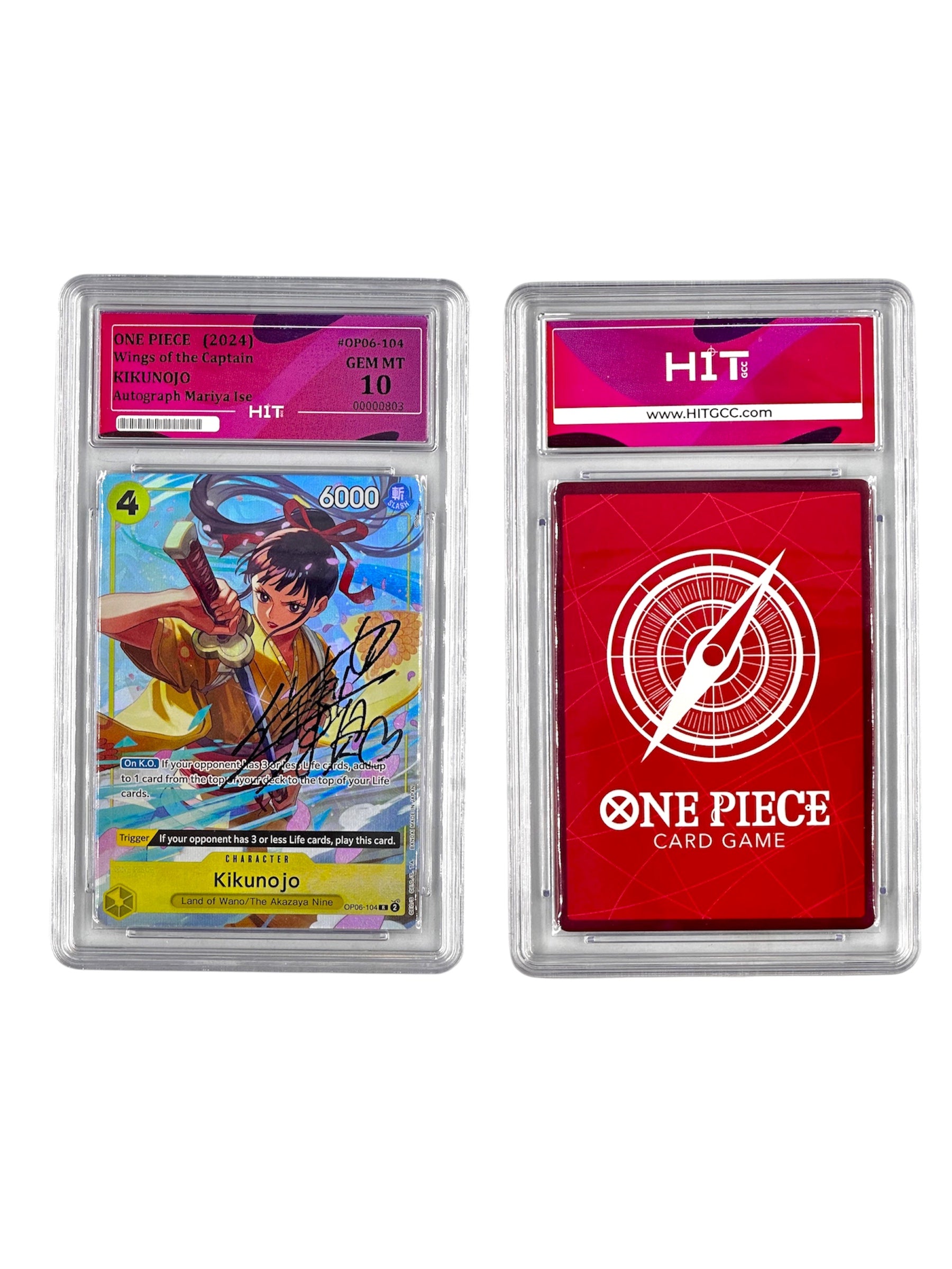 One Piece Kikunojo (2024) 00000803