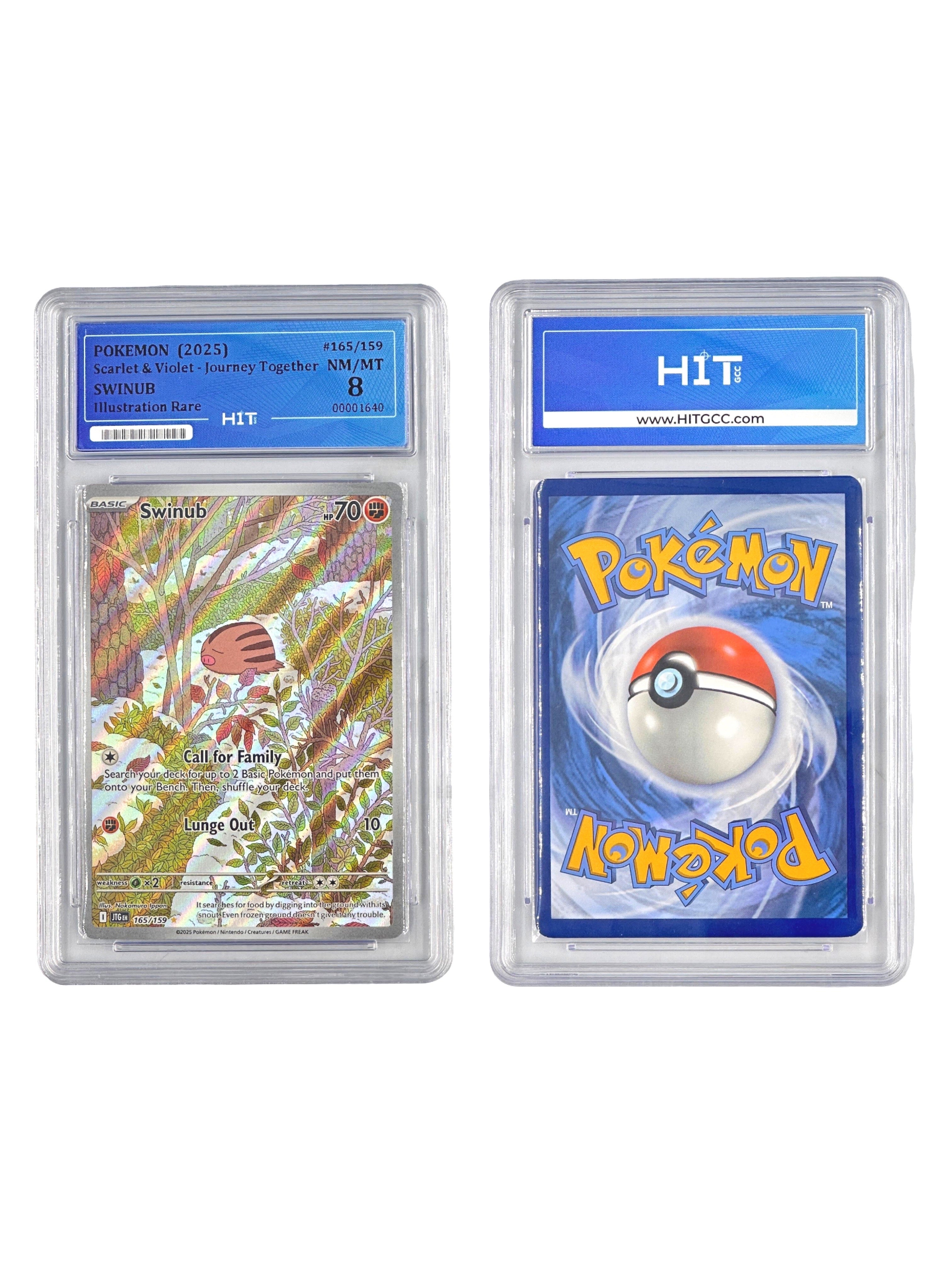 Pokémon Swinub Illustration Rare (Scarlet & Violet - Journey Together) 00001640