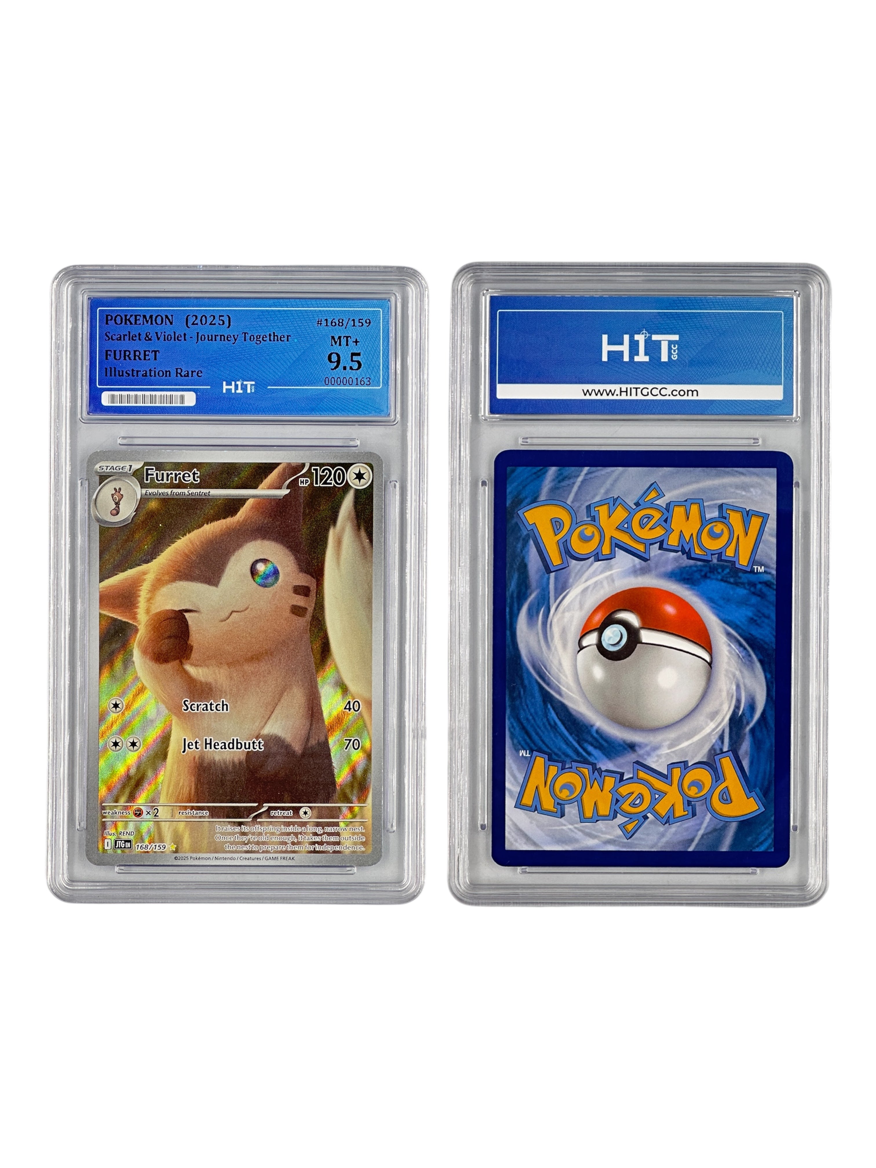 Pokémon Furret Illustration Rare (Scarlet & Violet - Journey Together) 00000163