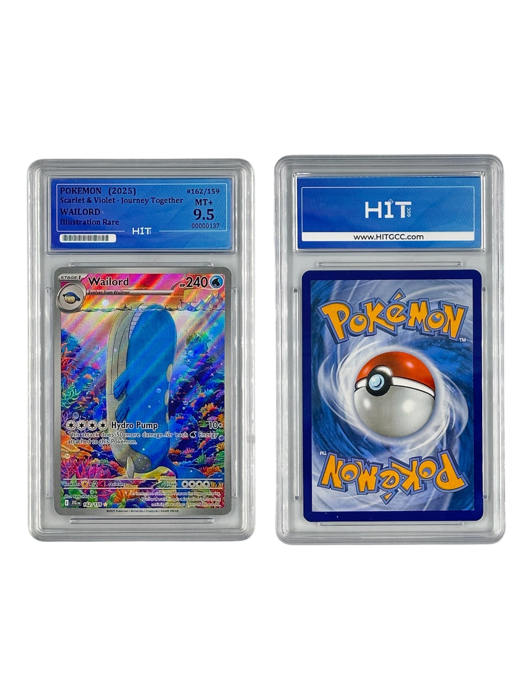 Pokémon Wailord Illustration Rare (Scarlet & Violet - Journey Together) 00000137