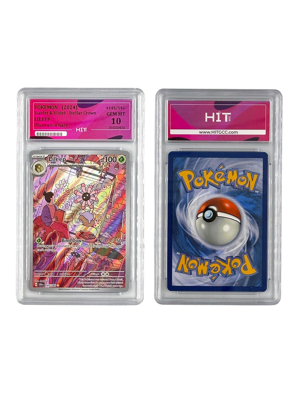 Pokémon Lileep Illustration Rare (Scarlet & Violet - Stellar Crown) 00000436