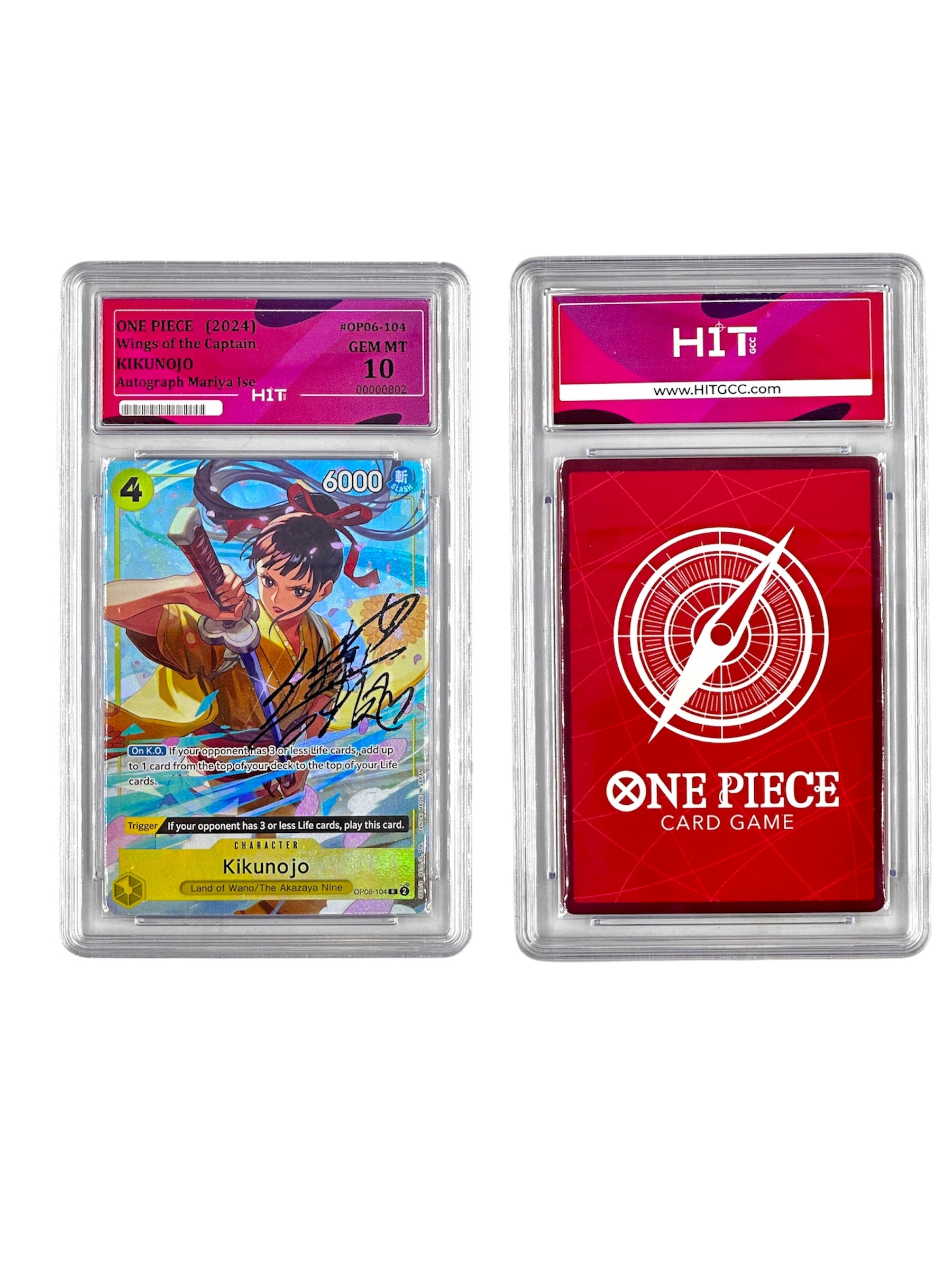 One Piece Kikunojo (Wings of the Captain) 00000802