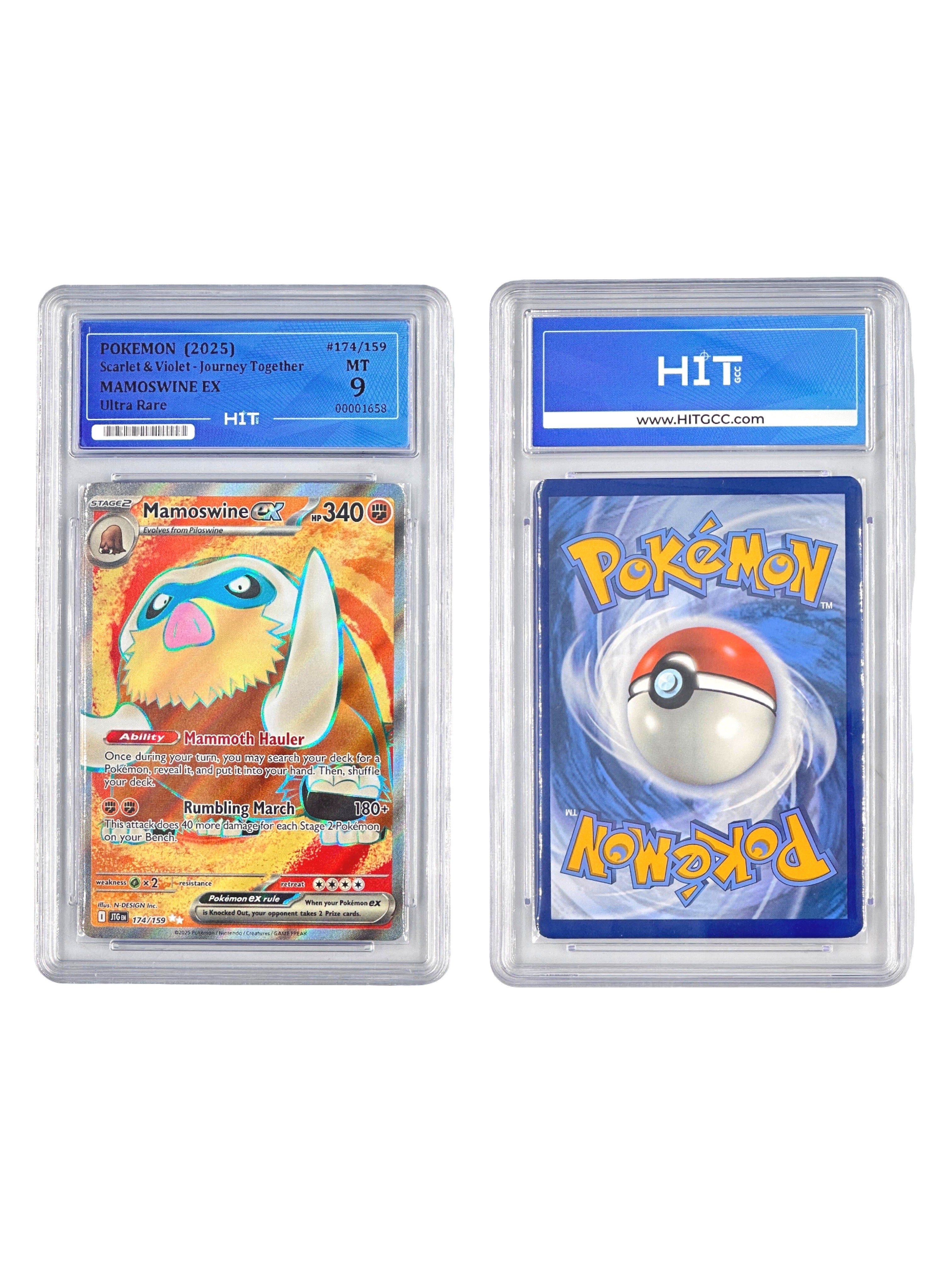 Pokémon Mamoswine EX (Scarlet & Violet - Journey Together) 00001658