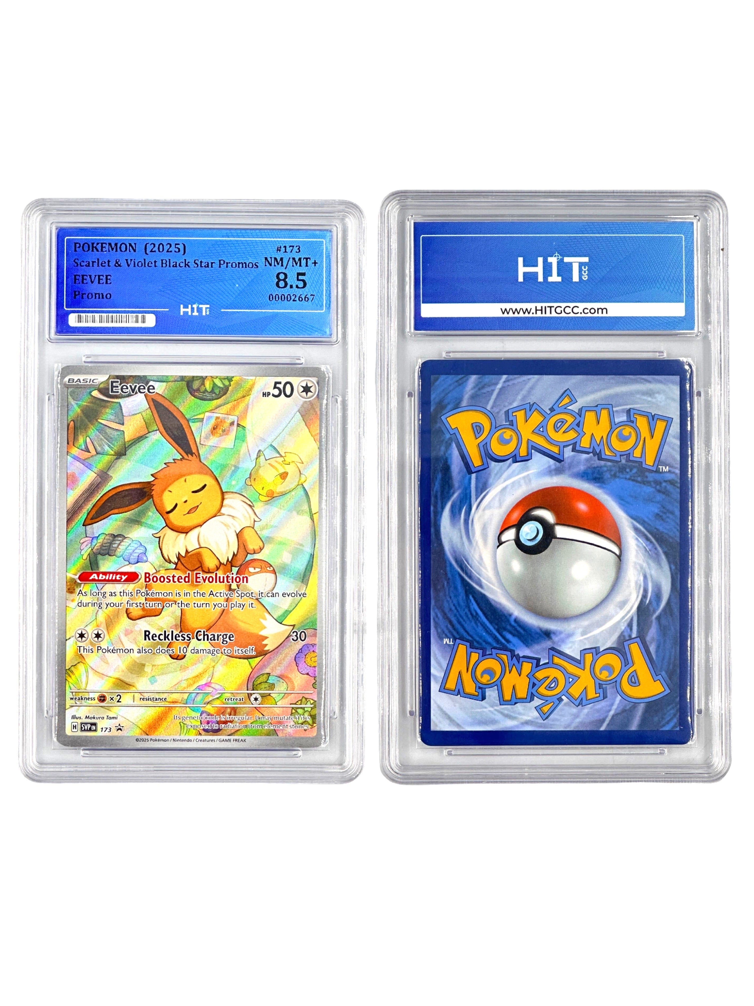 Pokémon Eevee (Scarlet & Violet Black Star Promos) 00002667