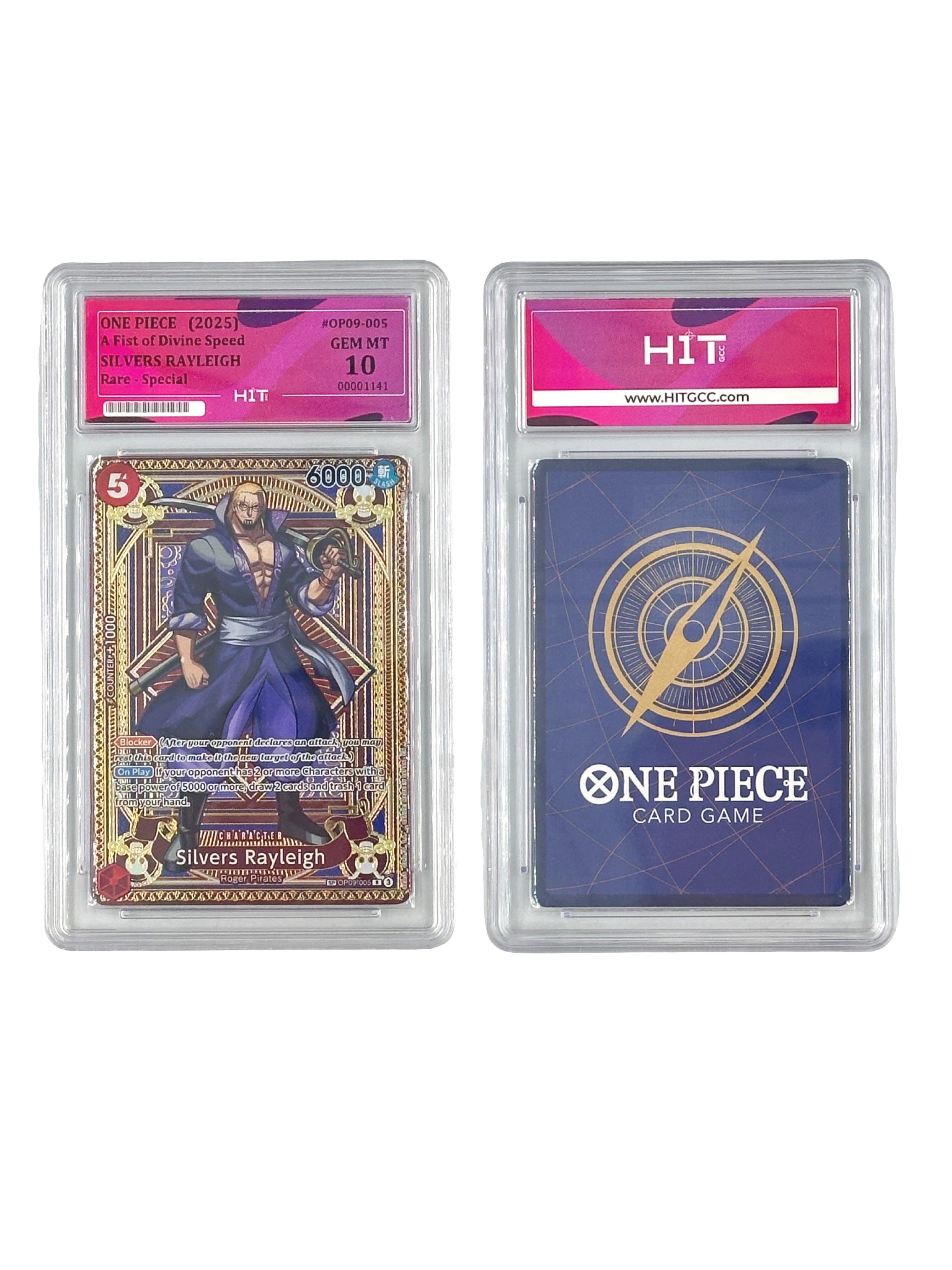 One Piece Silvers Rayleigh (A Fist of Divine Speed) 00001141