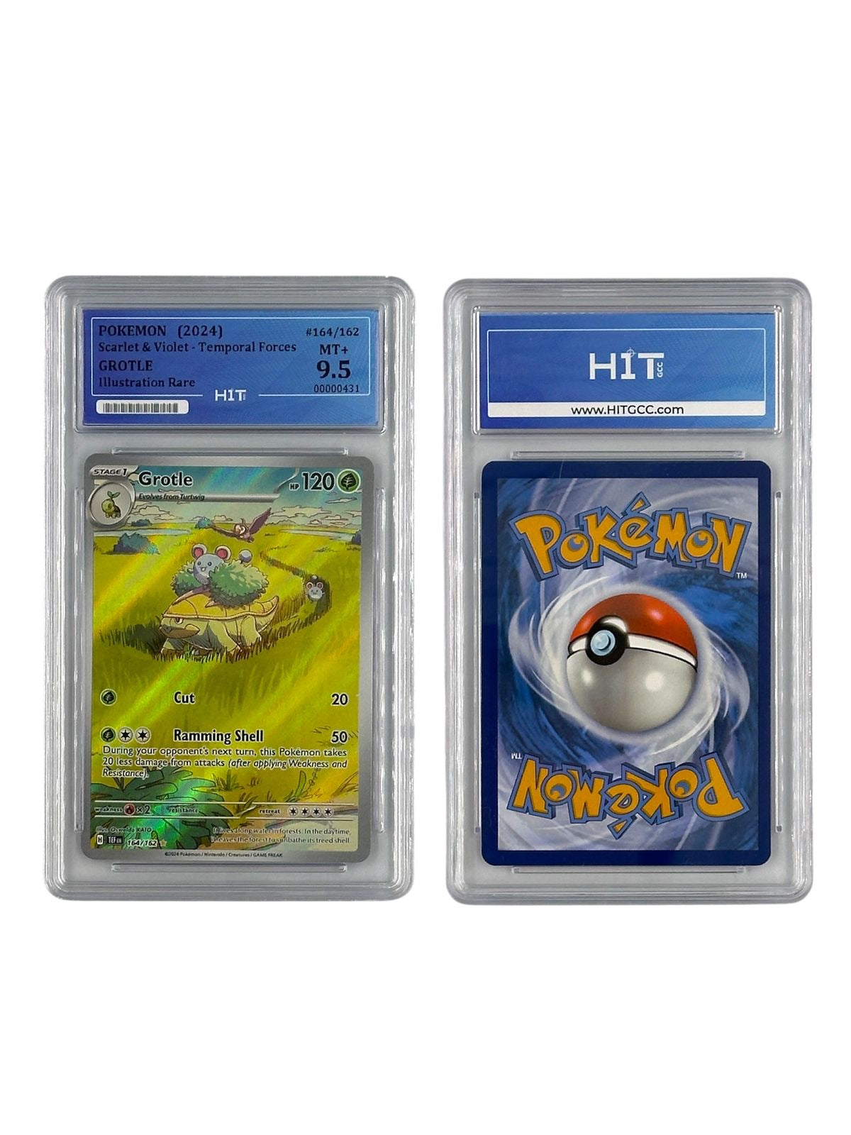 Pokémon Grotle Illustration Rare (Scarlet & Violet - Temporal Forces) 00000431