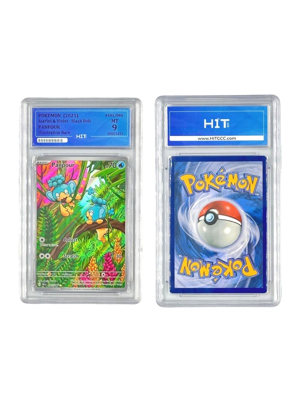 Pokémon Panpour Illustration Rare (Scarlet & Violet - Black Bolt) 00001833