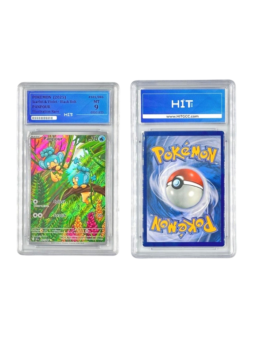 Pokémon Panpour Illustration Rare (Scarlet & Violet - Black Bolt) 00001833