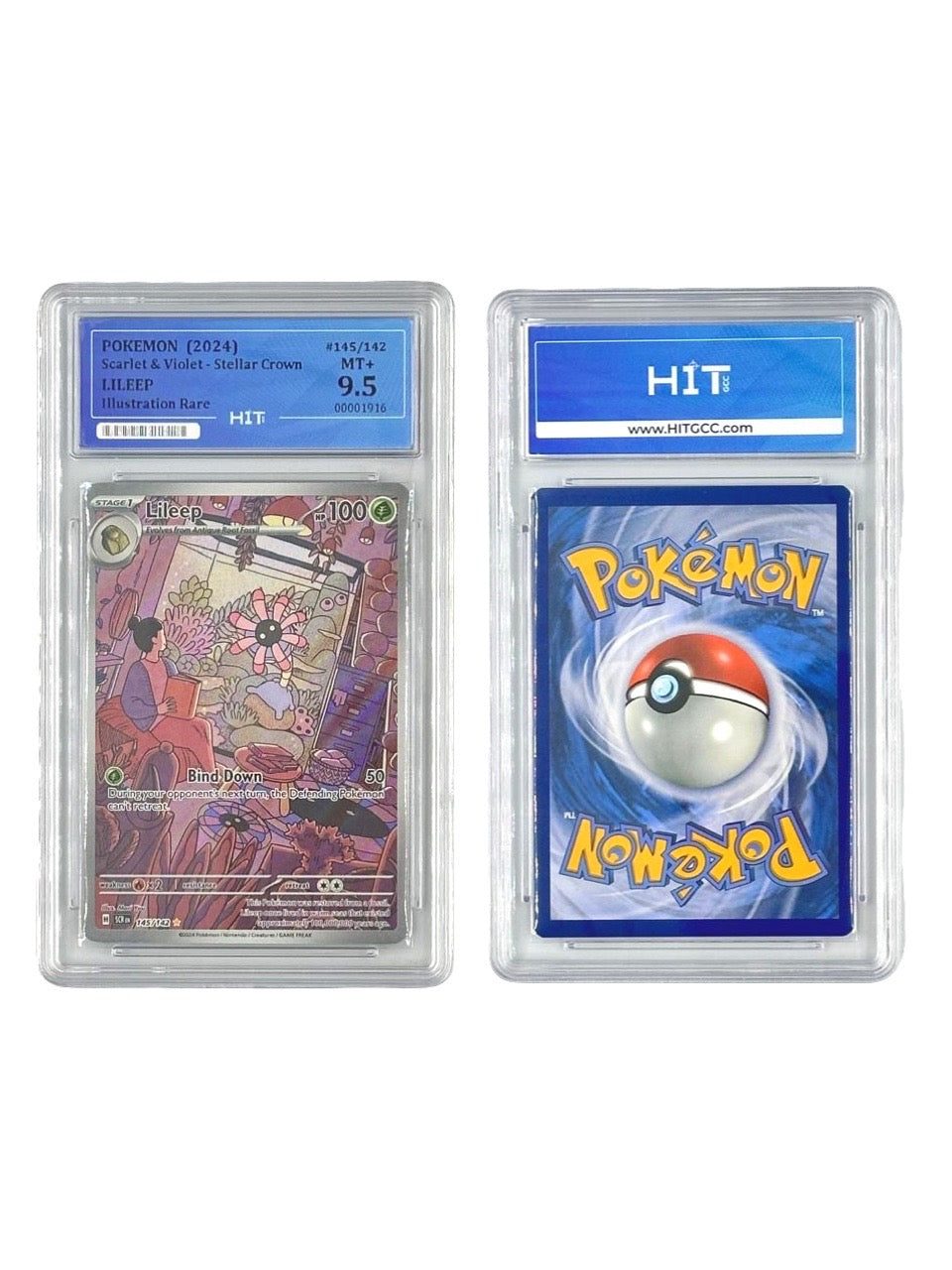 Pokémon Lileep Illustration Rare (Scarlet & Violet - Stellar Crown) 00001916