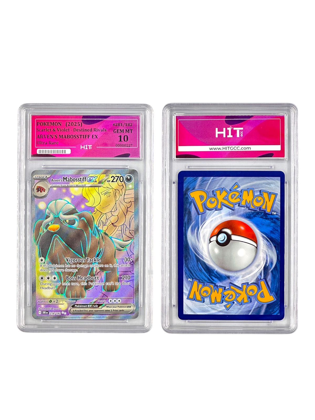 Pokémon Arven's Mabosstiff EX (Scarlet & Violet - Destined Rivals) 00000227