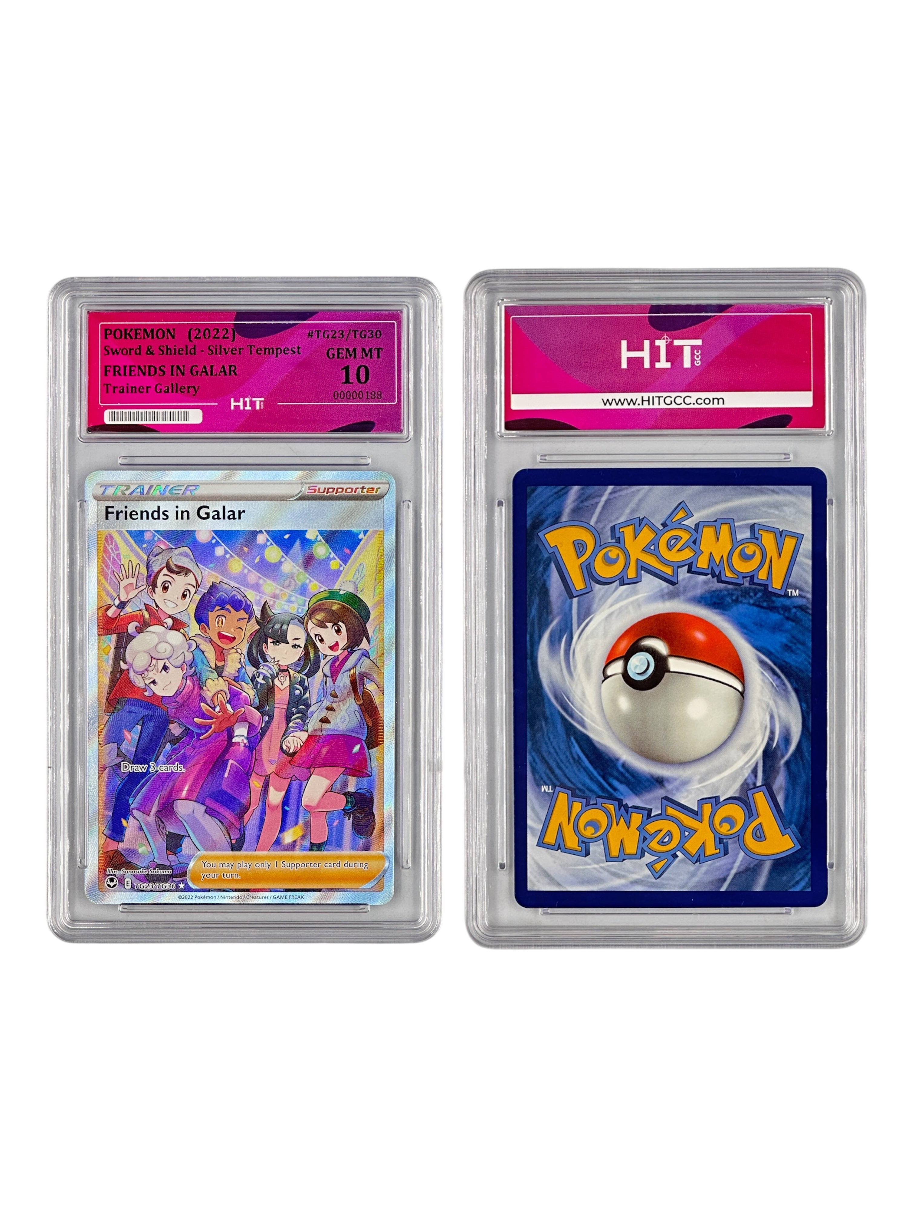 Pokémon Friends in Galar (Sword & Shield - Silver Tempest) 00000188