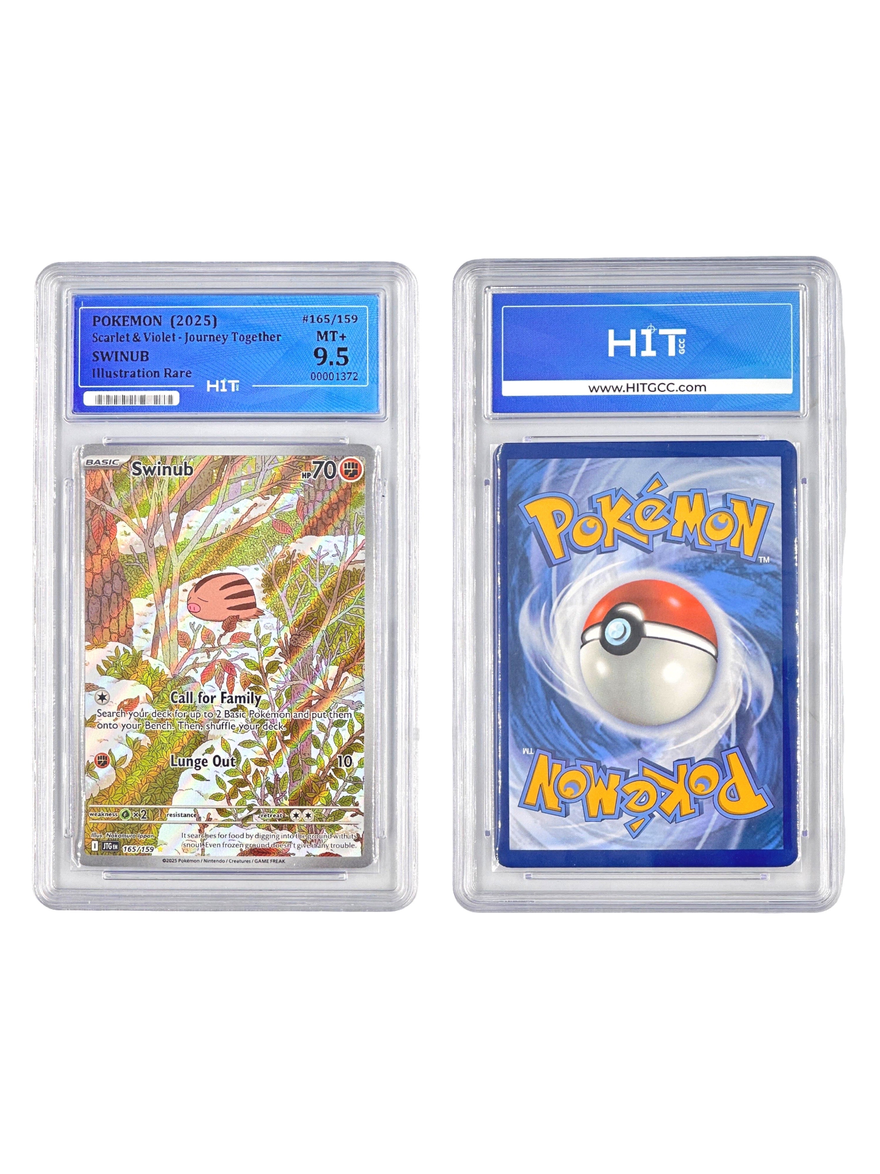 Pokémon Swinub Illustration Rare (Scarlet & Violet - Journey Together) 00001372